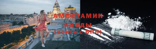 амф Каменка