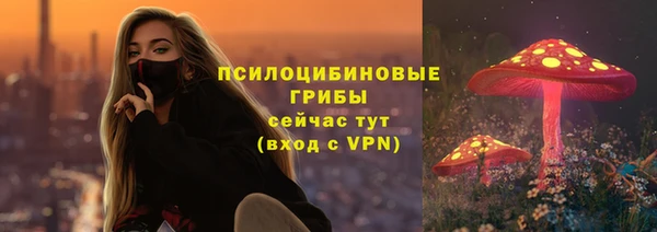 амф Каменка