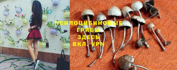 МДМА Инсар