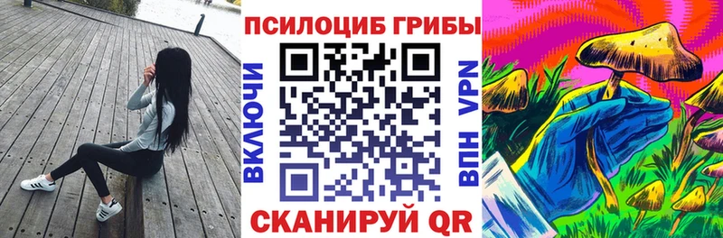 Галлюциногенные грибы MAGIC MUSHROOMS  купить наркотик  блэк спрут ССЫЛКА  Иланский 