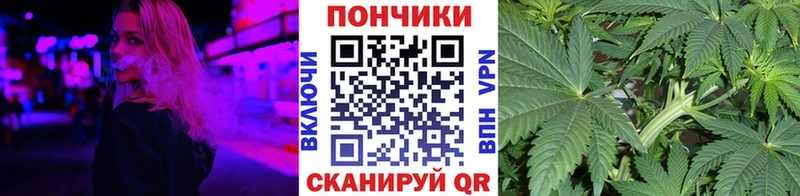 Бошки марихуана Amnesia  Иланский 